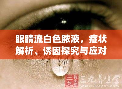 眼睛流白色脓液，症状解析、诱因探究与应对治疗之道