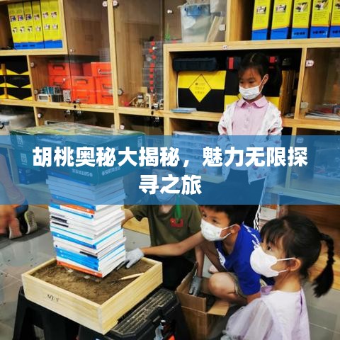 朴素无华 第2页