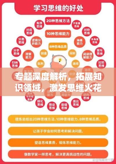专题深度解析，拓展知识领域，激发思维火花