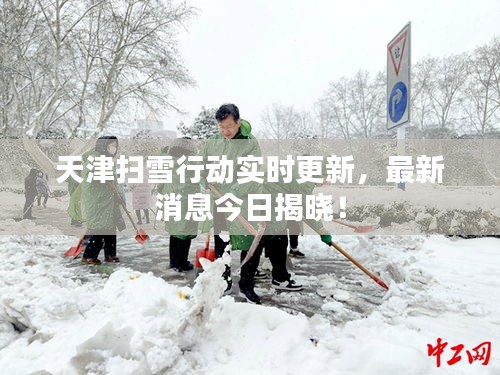 天津扫雪行动实时更新，最新消息今日揭晓！