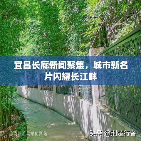 食淡衣粗 第2页