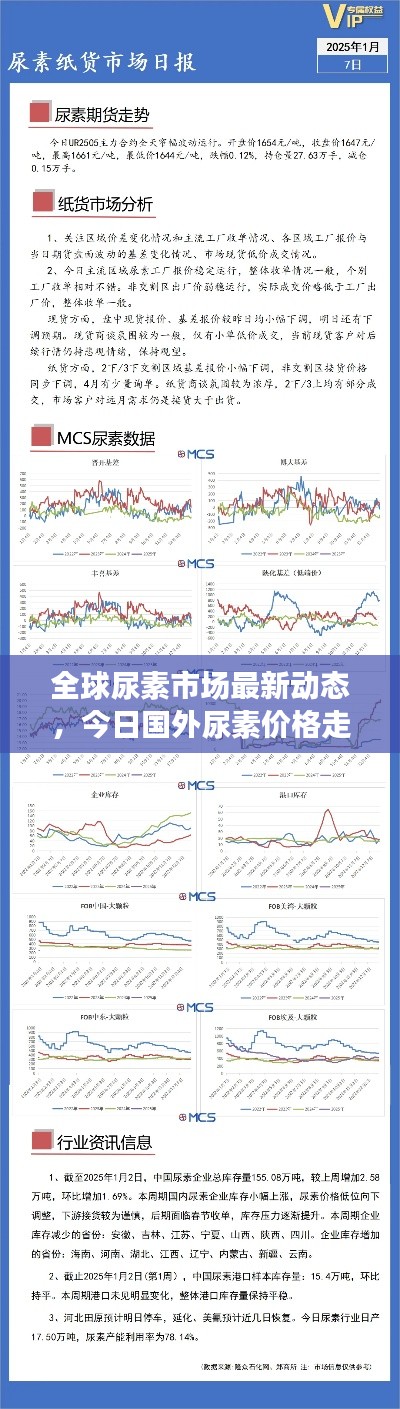 全球尿素市场最新动态，今日国外尿素价格走势分析
