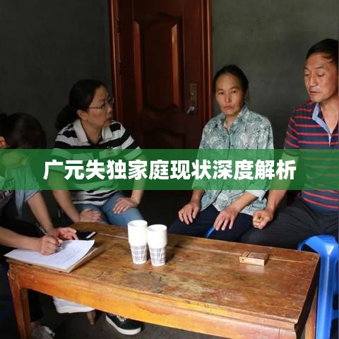 广元失独家庭现状深度解析