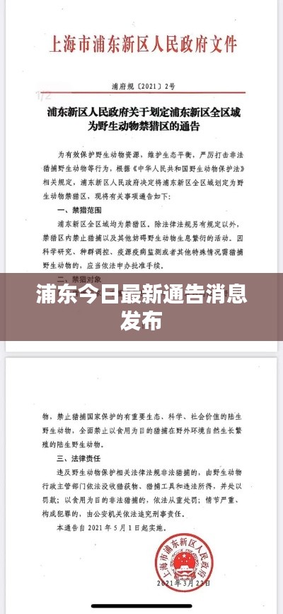 浦东今日最新通告消息发布