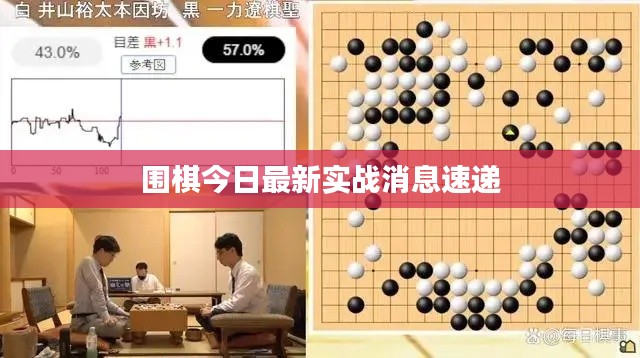 围棋今日最新实战消息速递