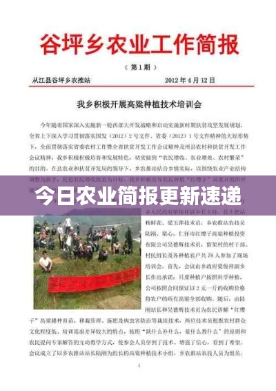 独出新裁 第2页