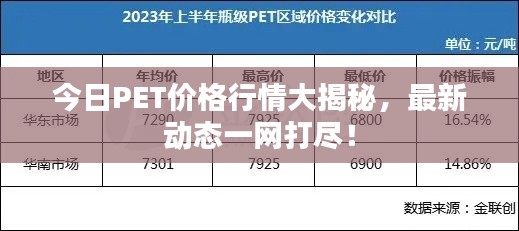 今日PET价格行情大揭秘，最新动态一网打尽！