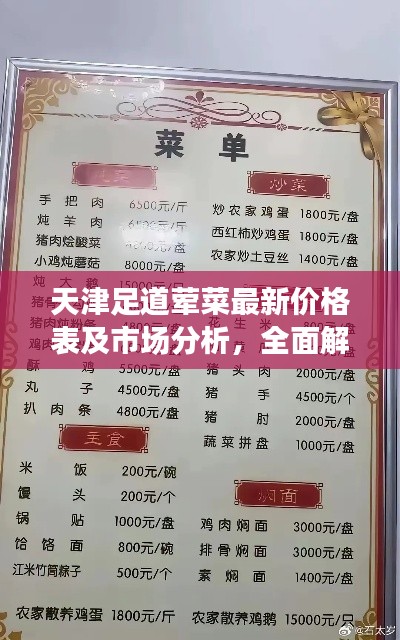 天津足道荤菜最新价格表及市场分析，全面解读市场趋势