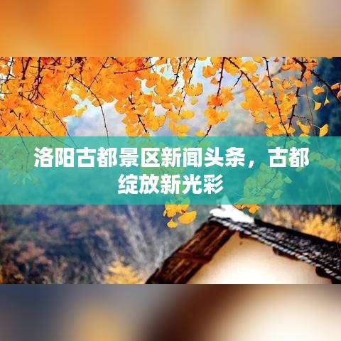 洛阳古都景区新闻头条，古都绽放新光彩