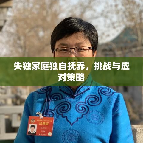 失独家庭独自抚养，挑战与应对策略