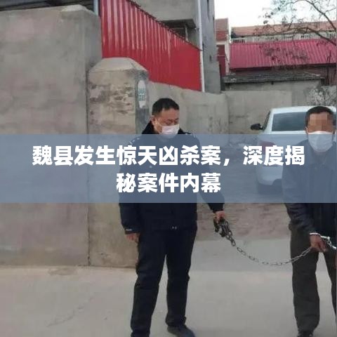 魏县发生惊天凶杀案，深度揭秘案件内幕