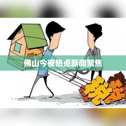 佛山今夜热点新闻聚焦