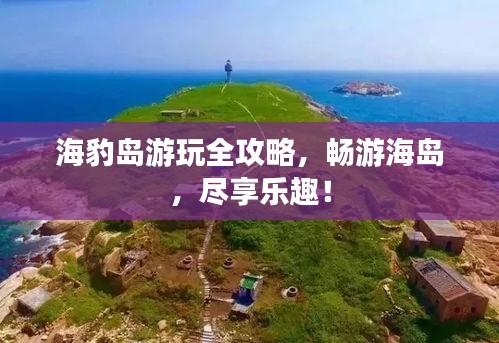 海豹岛游玩全攻略，畅游海岛，尽享乐趣！