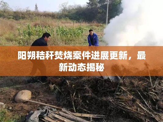 阳朔秸秆焚烧案件进展更新，最新动态揭秘
