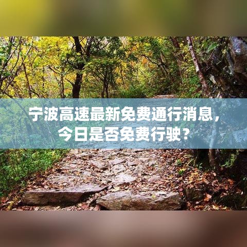 宁波高速最新免费通行消息，今日是否免费行驶？