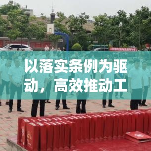 以落实条例为驱动，高效推动工作发展