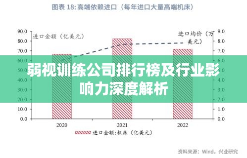弱视训练公司排行榜及行业影响力深度解析