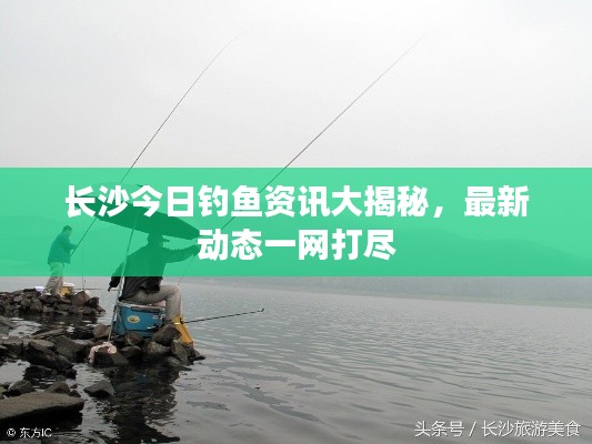 长沙今日钓鱼资讯大揭秘，最新动态一网打尽