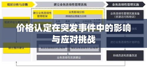 价格认定在突发事件中的影响与应对挑战