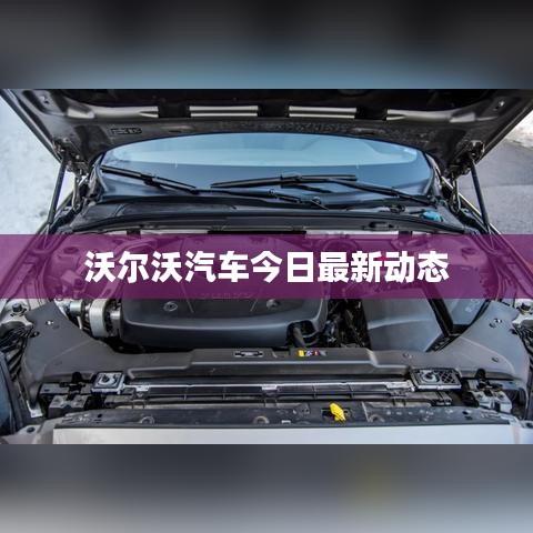 刬旧谋新 第2页