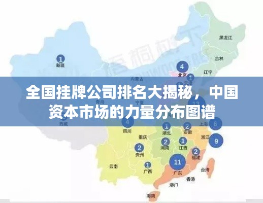 全国挂牌公司排名大揭秘，中国资本市场的力量分布图谱