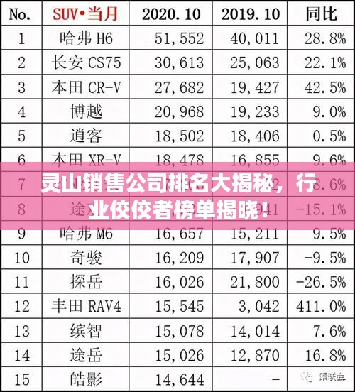 灵山销售公司排名大揭秘，行业佼佼者榜单揭晓！