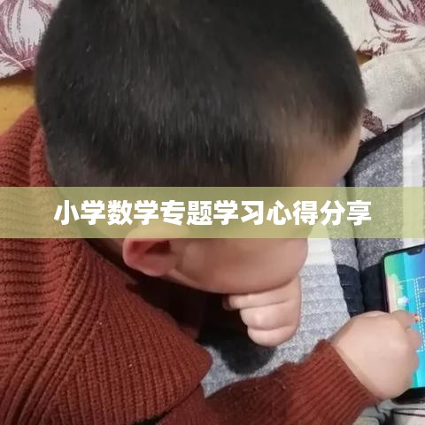 小学数学专题学习心得分享