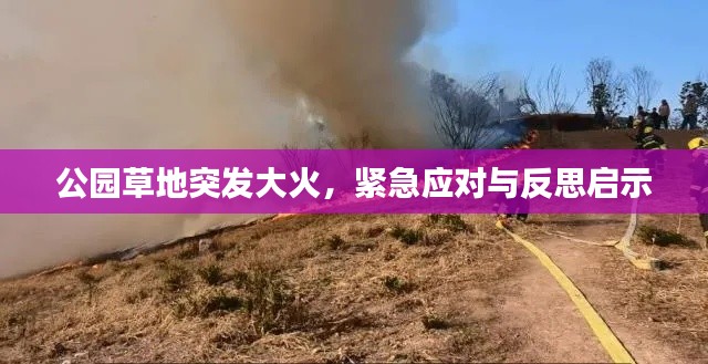 公园草地突发大火，紧急应对与反思启示