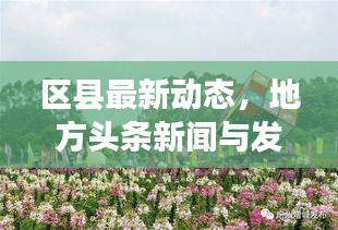 区县最新动态，地方头条新闻与发展强音聚焦