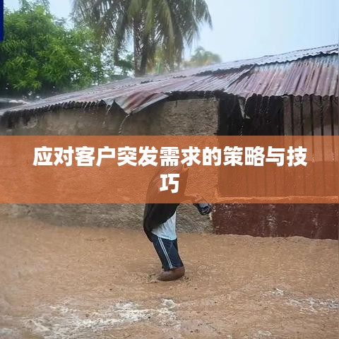 应对客户突发需求的策略与技巧