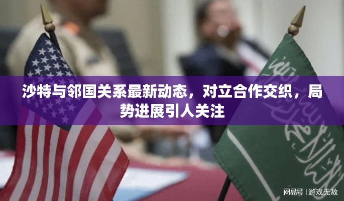 沙特与邻国关系最新动态，对立合作交织，局势进展引人关注