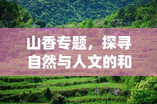 山香专题，探寻自然与人文的和谐之美