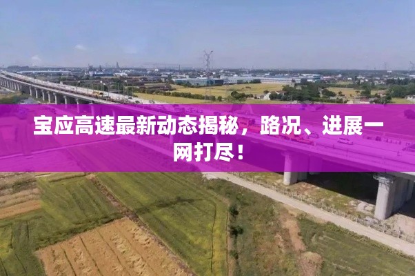 宝应高速最新动态揭秘，路况、进展一网打尽！