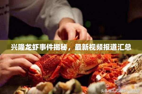 兴隆龙虾事件揭秘，最新视频报道汇总