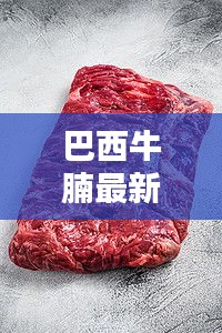 巴西牛腩最新价格表与图片概览，全面了解牛腩行情