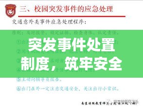 突发事件处置制度，筑牢安全与稳定之基石