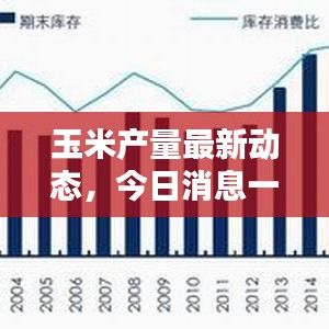 玉米产量最新动态，今日消息一览，了解最新趋势！