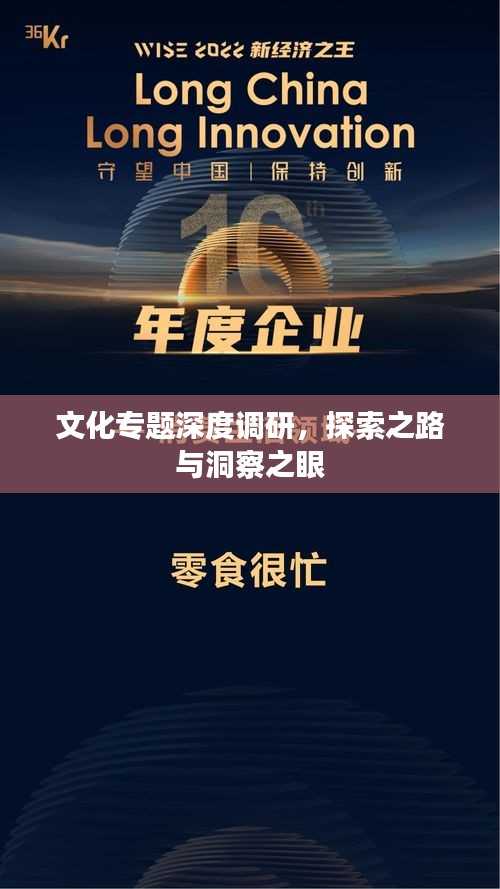 文化专题深度调研，探索之路与洞察之眼