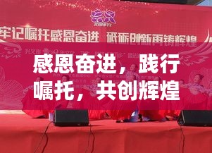 感恩奋进，践行嘱托，共创辉煌时刻！