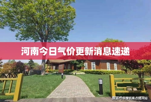 河南今日气价更新消息速递