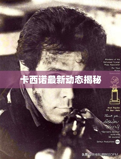 卡西诺最新动态揭秘