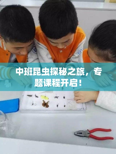 中班昆虫探秘之旅，专题课程开启！