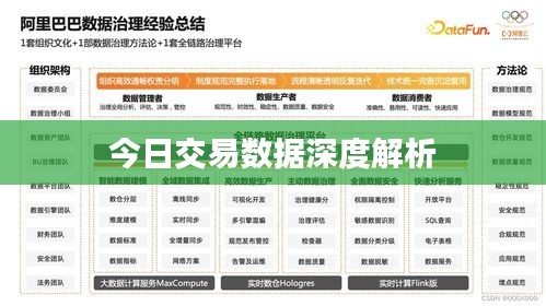 今日交易数据深度解析
