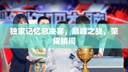 独家记忆总决赛，巅峰之战，荣耀瞬间