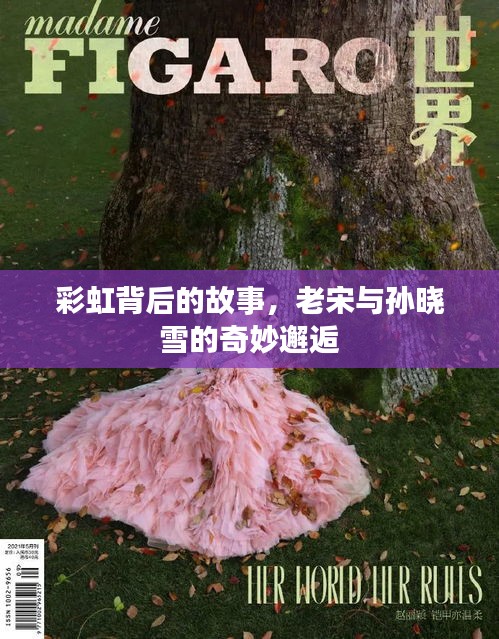 彩虹背后的故事，老宋与孙晓雪的奇妙邂逅