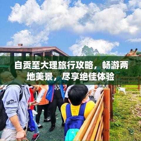 自贡至大理旅行攻略，畅游两地美景，尽享绝佳体验
