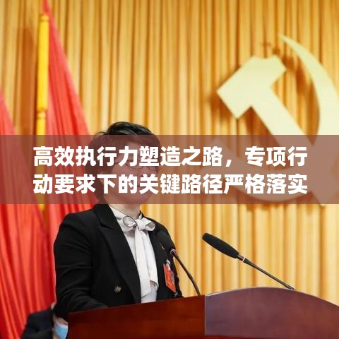 高效执行力塑造之路，专项行动要求下的关键路径严格落实