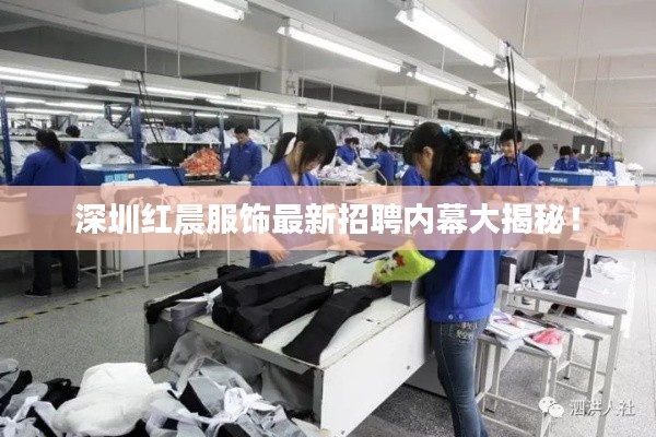 深圳红晨服饰最新招聘内幕大揭秘！