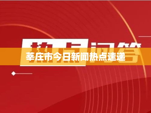 莘庄市今日新闻热点速递