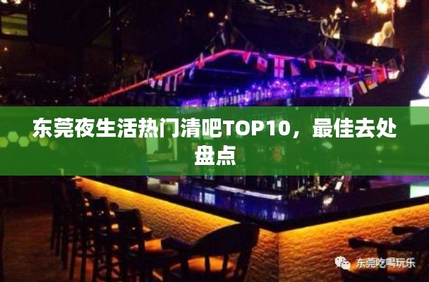 东莞夜生活热门清吧TOP10，最佳去处盘点